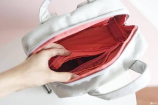 六款網(wǎng)紅雙肩包測評(píng),哪款最值得買