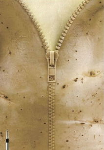 10組畫面誘人的美食創(chuàng)意海報(bào)